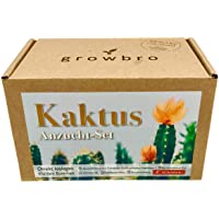 growbro Cactus - Juego de cultivo con pulverizador- regalo de cumpleaños- suculentas- regalos para mujeres y hombres…